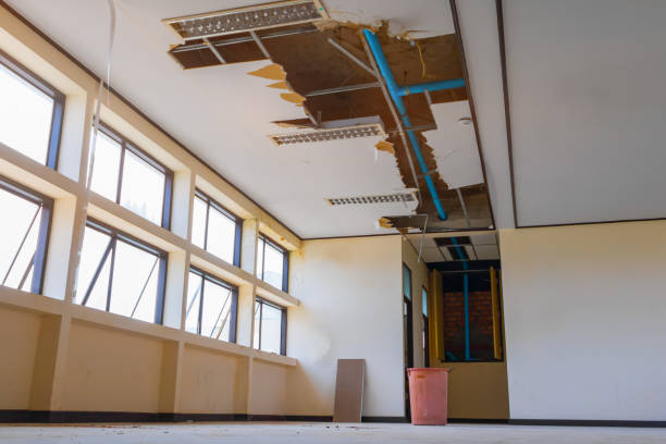 Best Water damage restoration experts  in Trevorton, PA