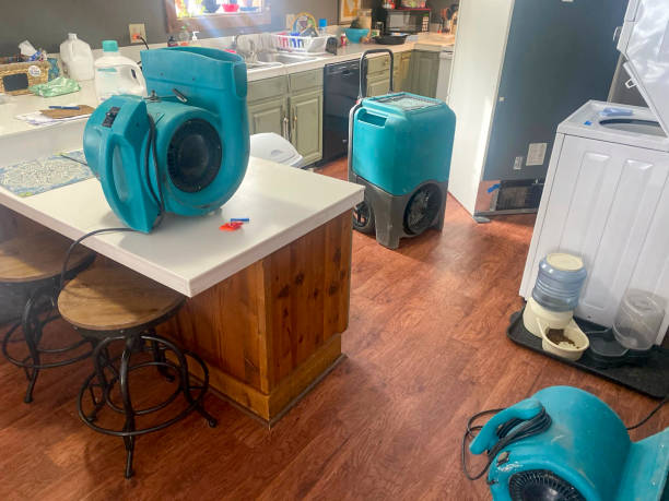Best Water damage restoration mold remediation  in Trevorton, PA