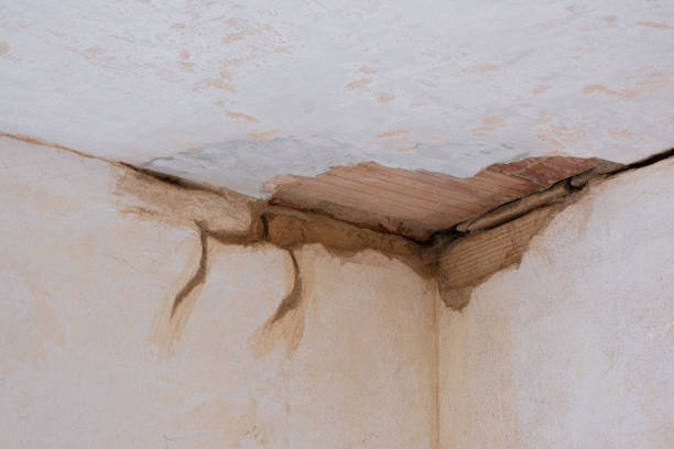 Best Local water damage restoration  in Trevorton, PA